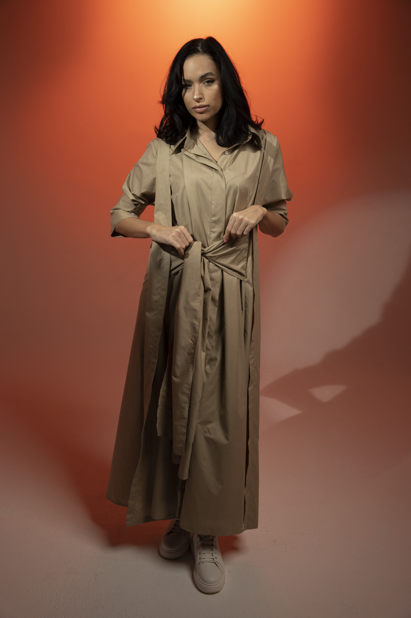 The Winged Dress